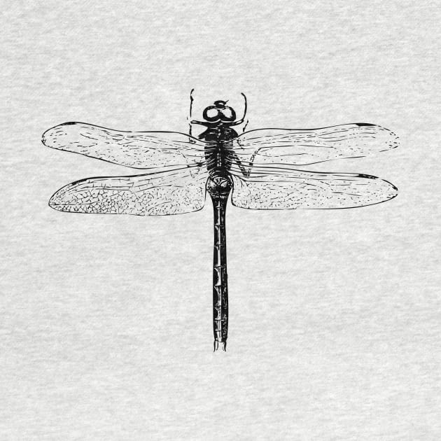 Dragonfly | Vintage Dragonfly | Black and White | by Eclectic At Heart